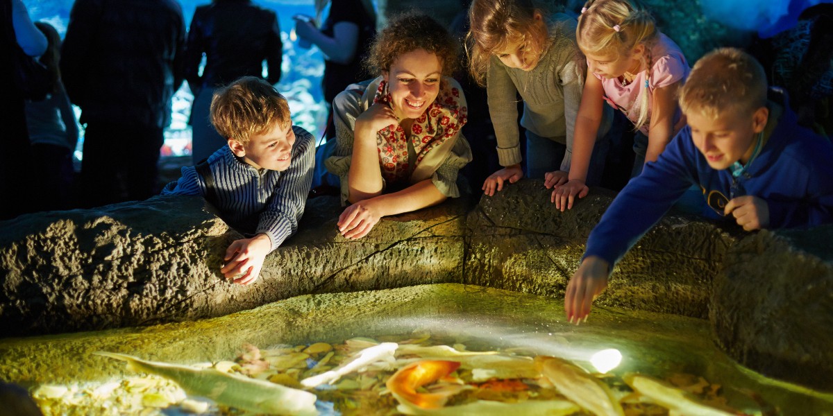 Der Henry Doorly Zoo und Aquarium in Omaha verwaltet die Belegung und verbessert das Besuchererlebnis mit Skyfii-Technologie